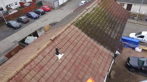 Moss removal from roof