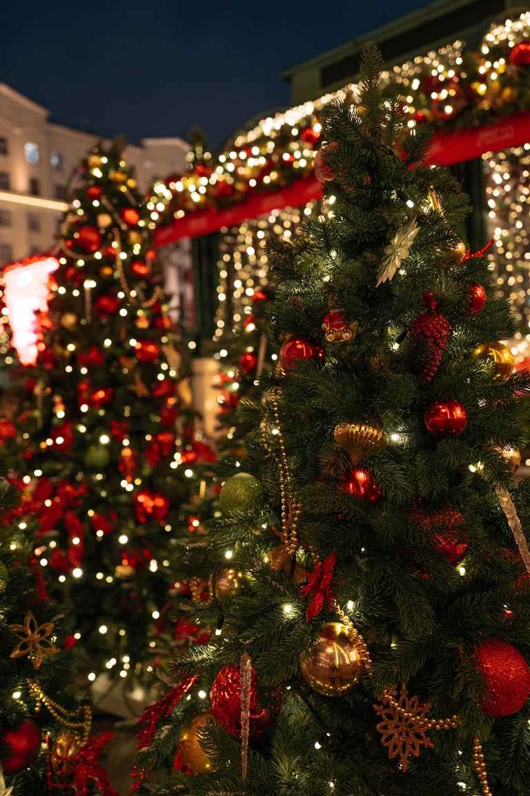 Holiday Christmas lights decoration