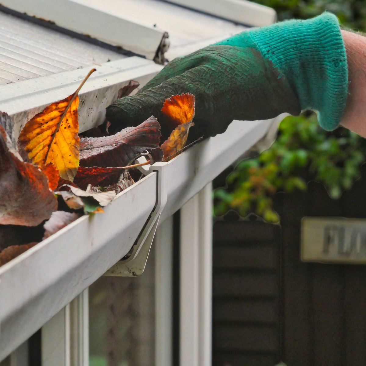 Gutter cleaning