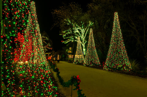 Christmas lights display